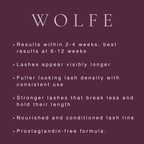 Wolfe Peptide Lash Serum